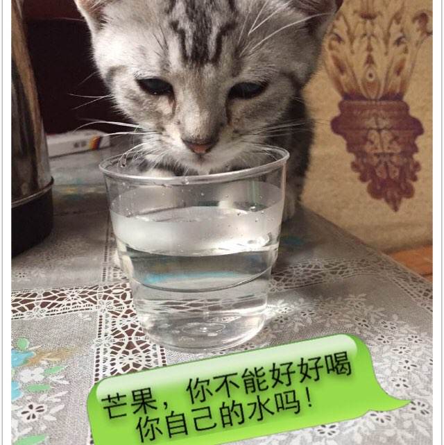 私立高中需要初中毕业证吗